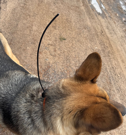 Antenna Buddy